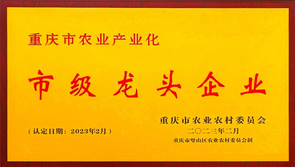 918博天堂(中国)人生就是搏